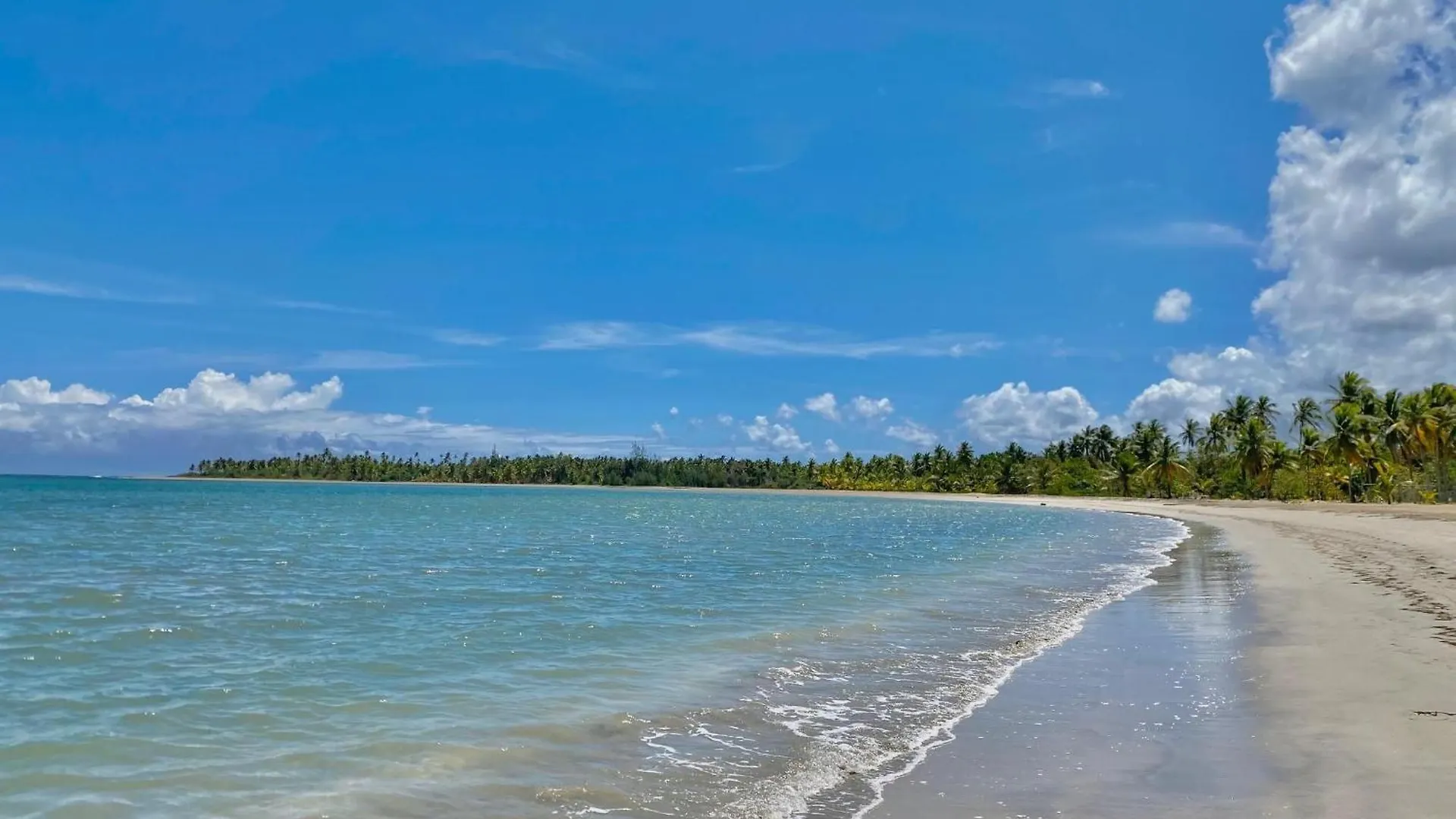 דירה El Limon New! Oceanfront Apt W- Private Beach - Las Terrenas